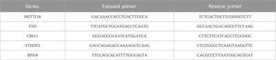 Identification and experimental validation of key m6A modification regulators as potential biomarkers of osteoporosis